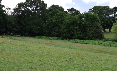 Land at Fritham