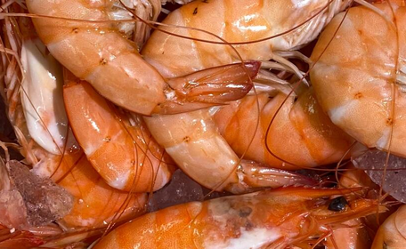 Sustainable energy key to growth of UK fresh prawn grower