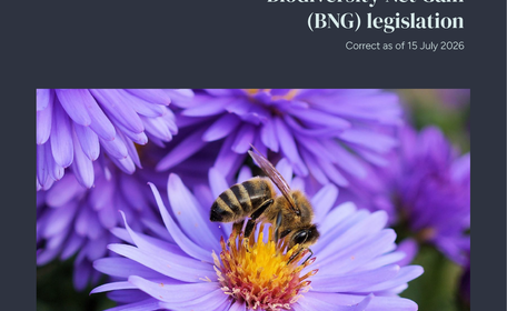 Upcoming changes to Biodiversity Net Gain (BNG) legislation
