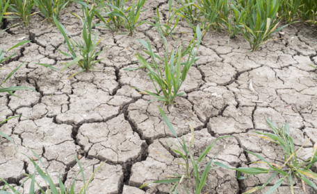 Draught UK Farming 2026
