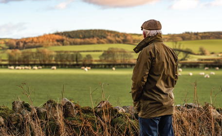 Farmer looking at field