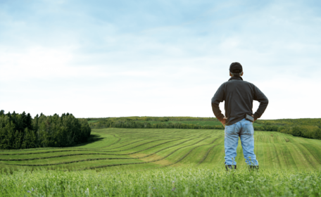 SFI26 scheme information published as farmers prepare for June application window