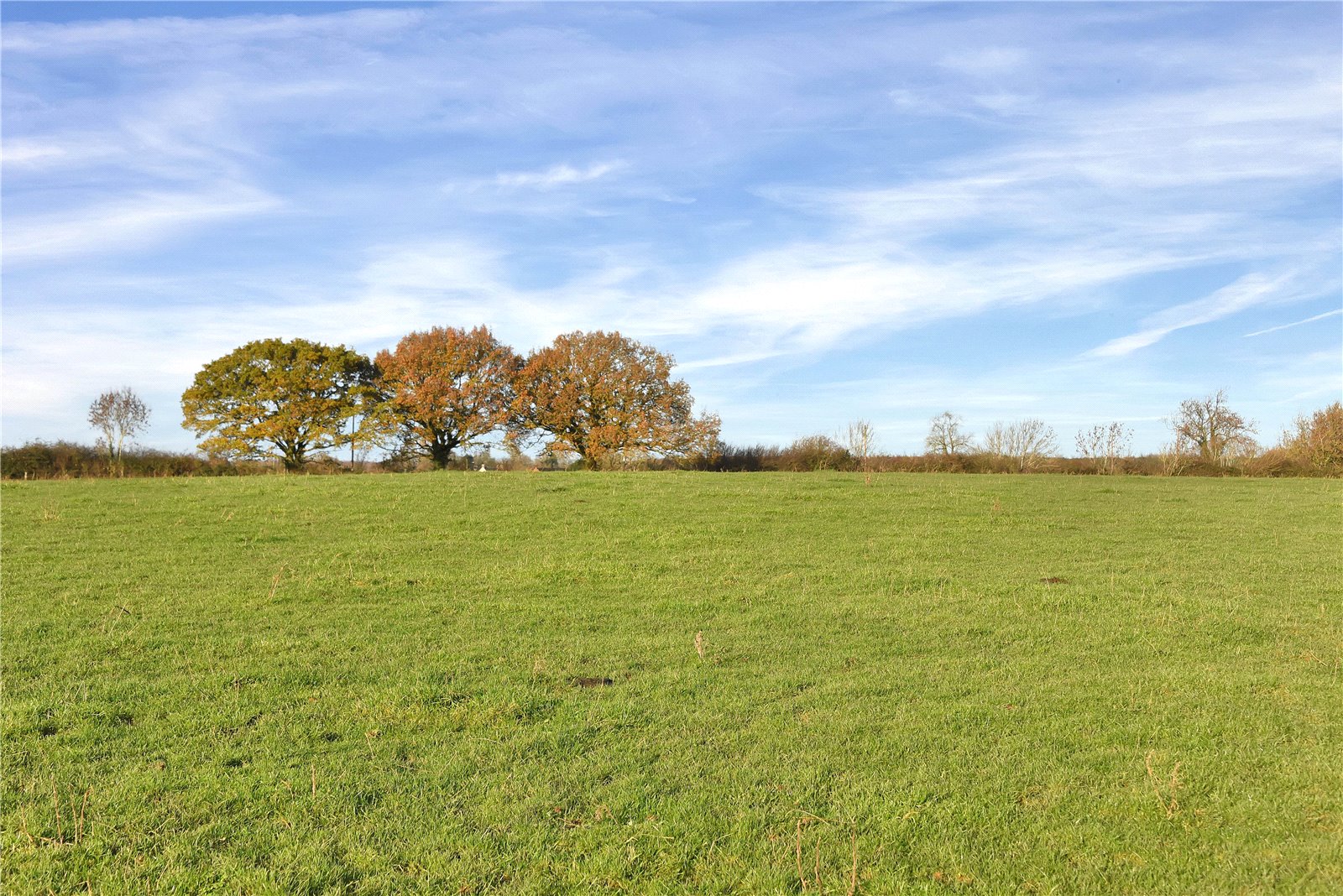 Farm,building plot for sale in Sandy Lane, Netherseal, Swadlincote