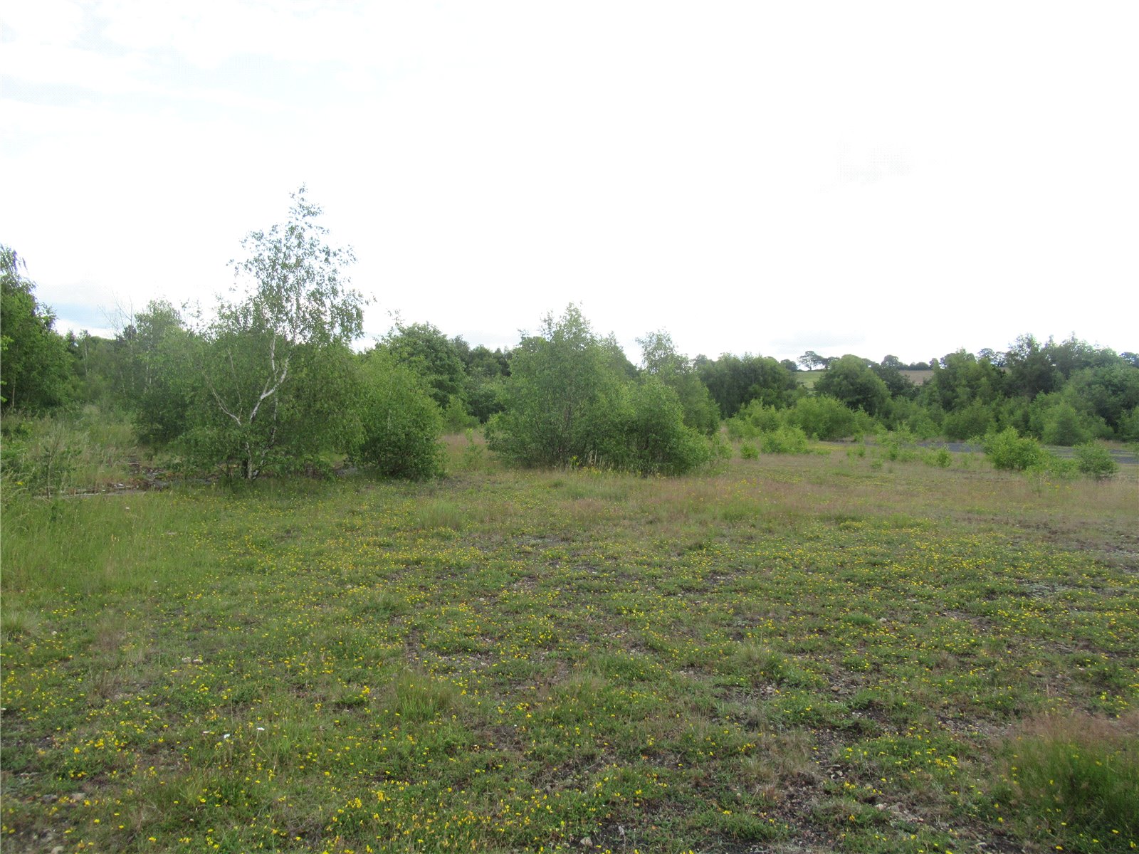 Land for sale in Land South Of High Park Cottages, Newthorpe