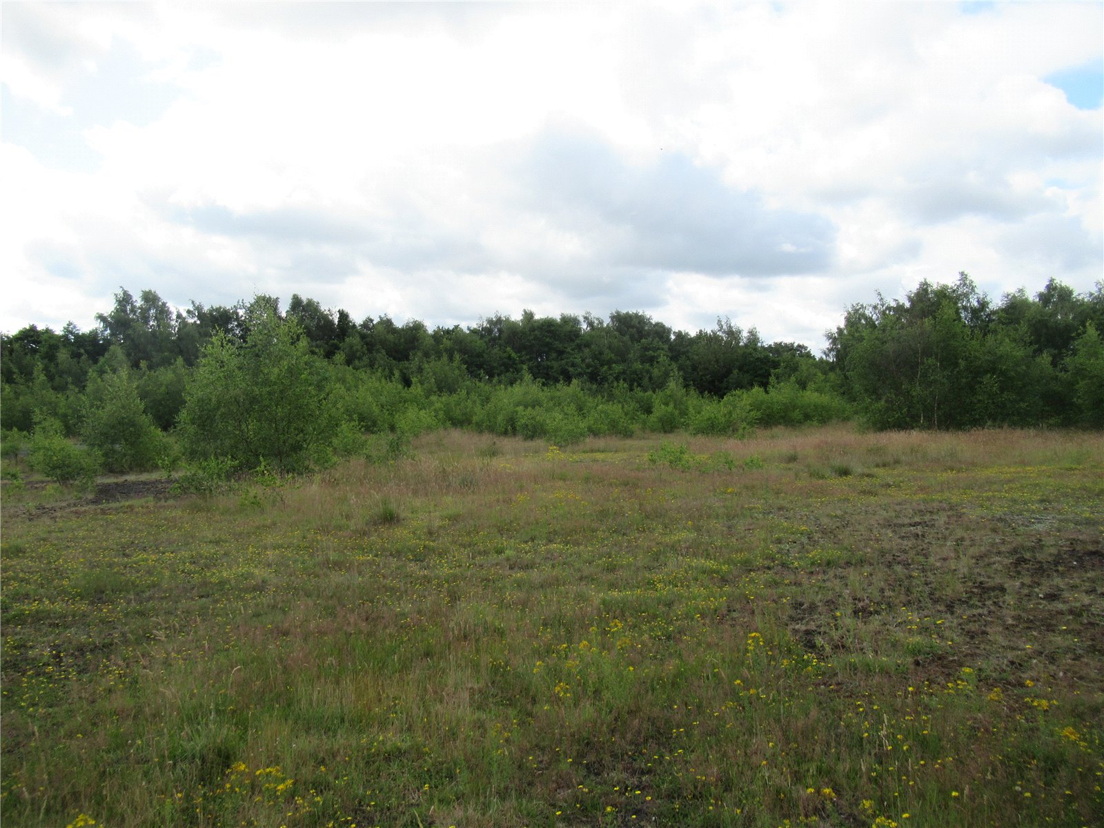 Land for sale in Land South Of High Park Cottages, Newthorpe