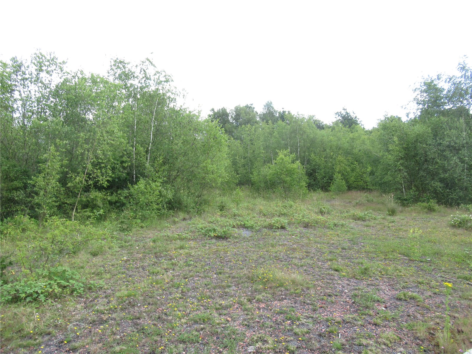 Land for sale in Land South Of High Park Cottages, Newthorpe