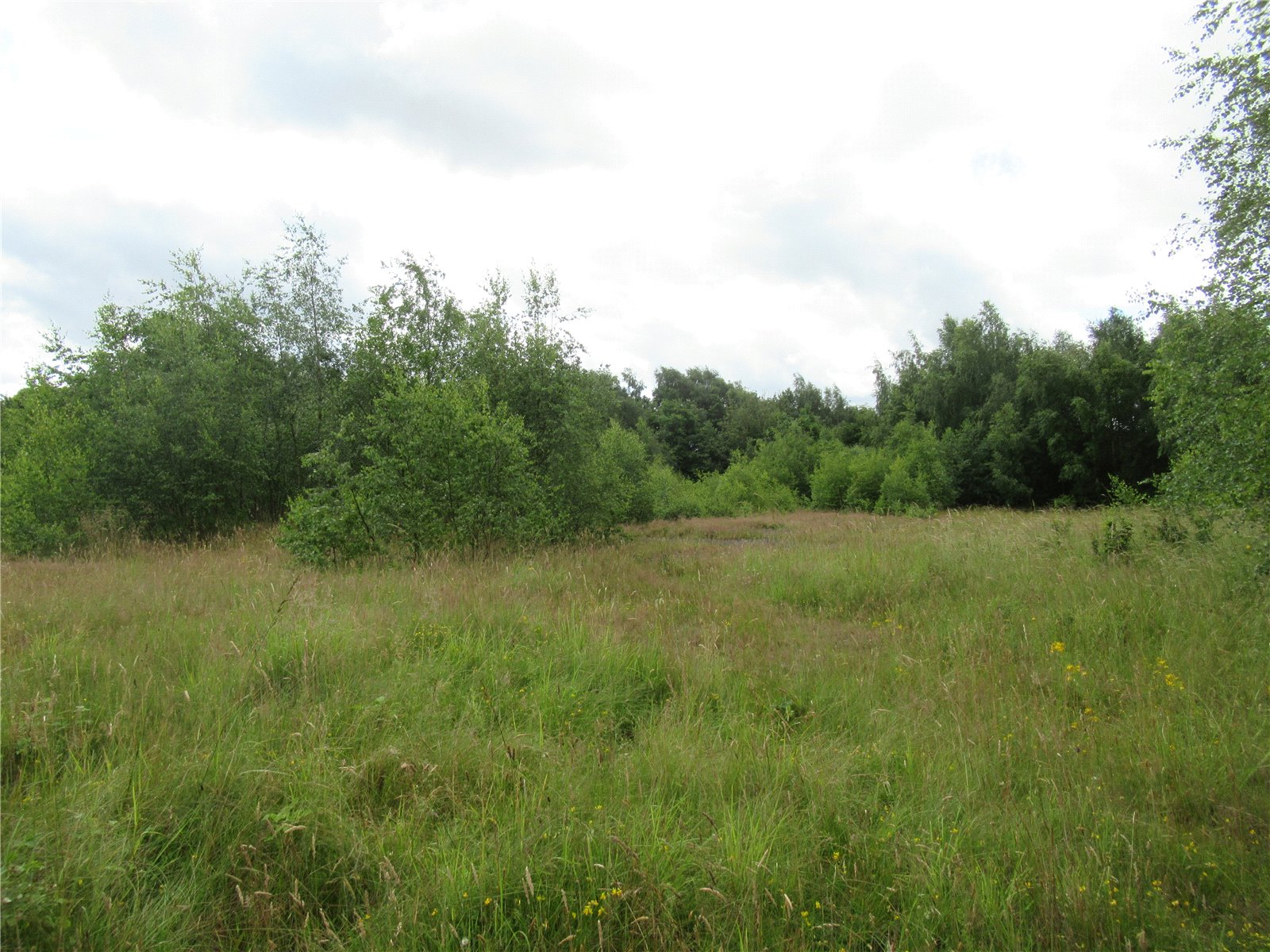 Land for sale in Land South Of High Park Cottages, Newthorpe