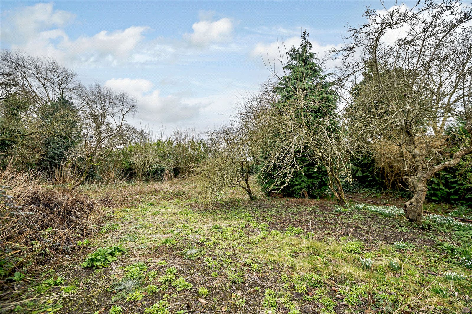 House for sale in Vicarage Lane, Gresford, Wrexham, LL12 Fisher German