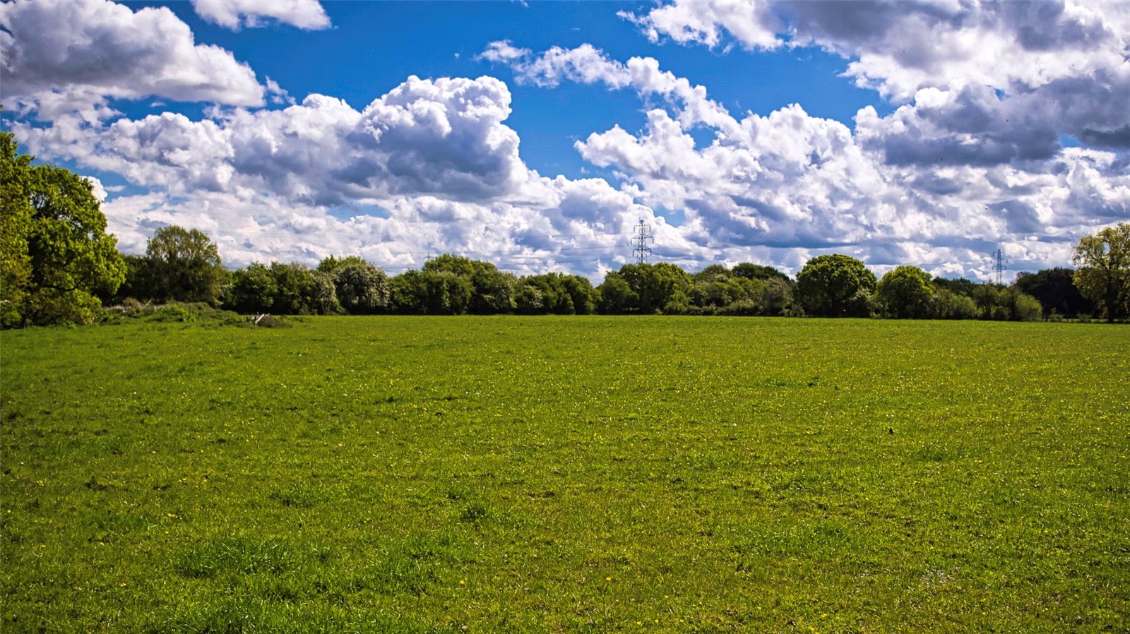 Land for sale in Dunkirk Lane, Capenhurst, Chester, CH1 Fisher German