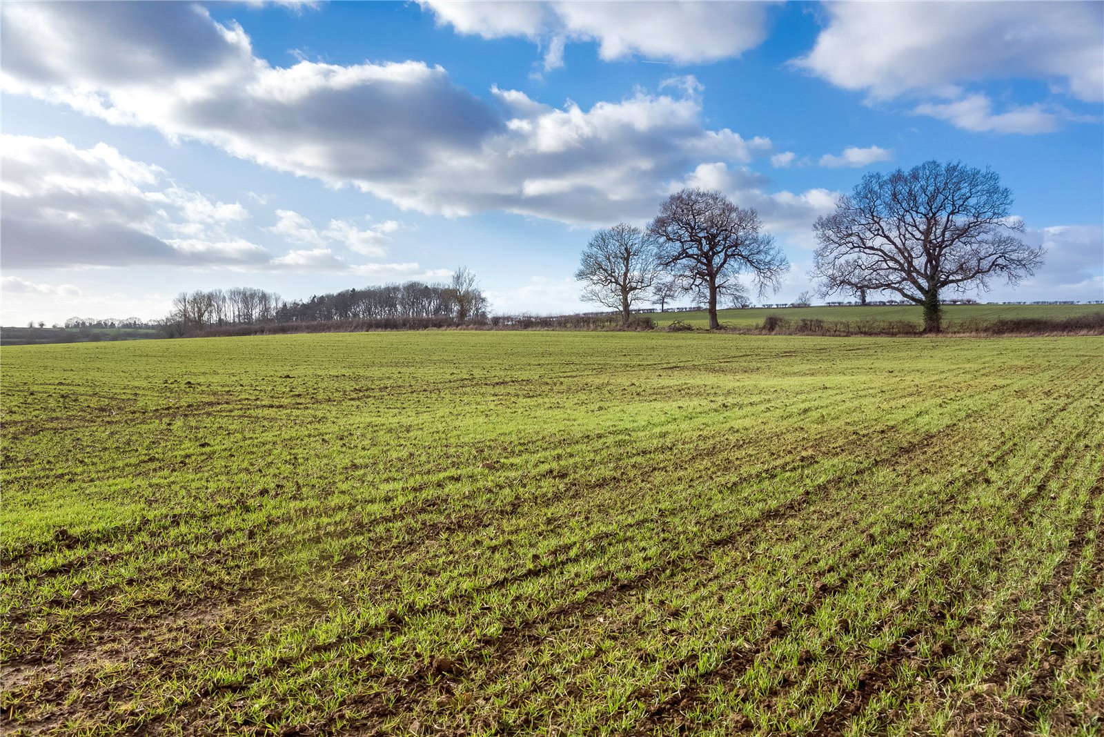 Land for sale in Astwell Lane, Weedon Lois, Northamptonshire, NN12