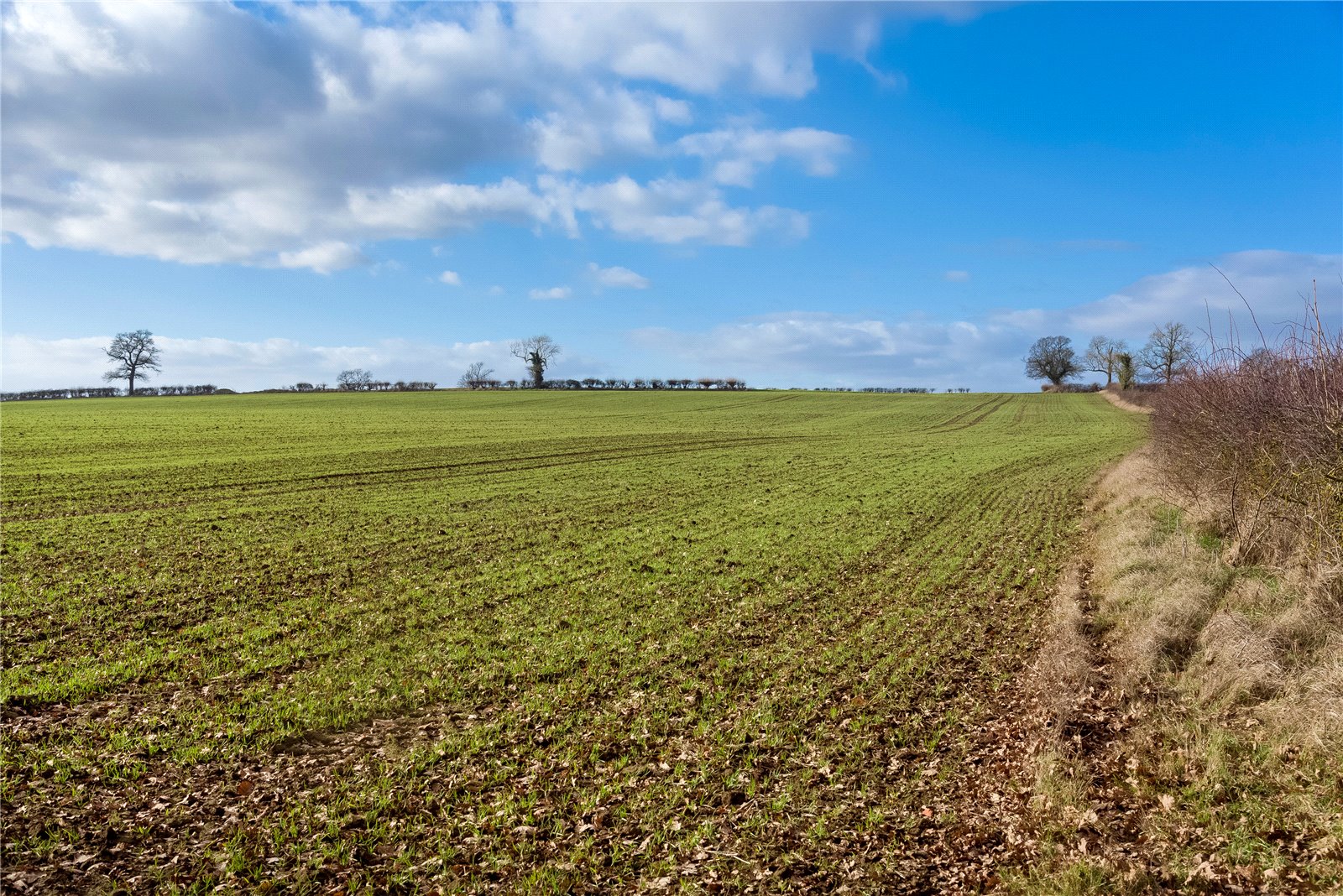 Land for sale in Astwell Lane, Weedon Lois, Northamptonshire, NN12