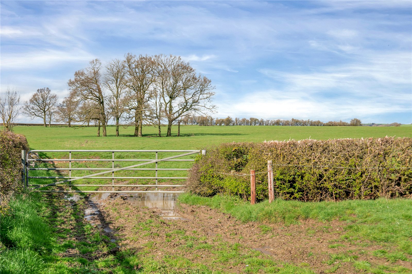 Land,farm for sale in Great Bowden, Market Harborough, Leicestershire